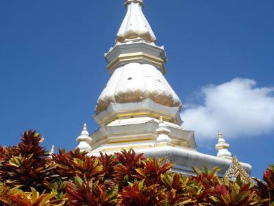Temple de Wat pa tak sua