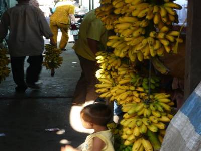 Chau doc