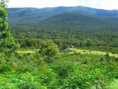 la verdure de l'australie