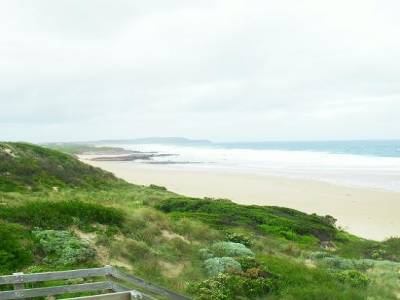 la vote sub australienne, sur l'ile de Philippe