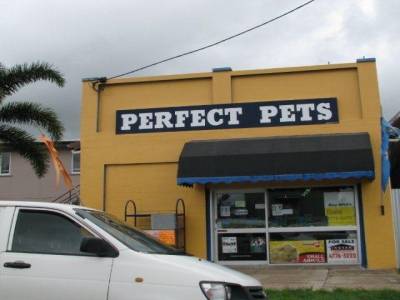 Pet
