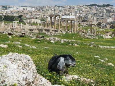 Jerash