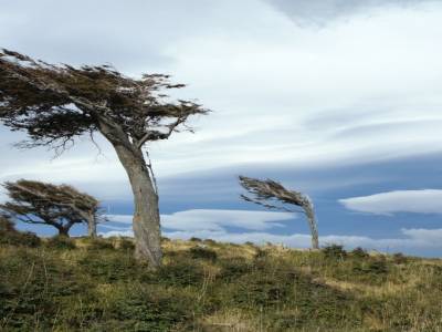 Tierra del Fuego