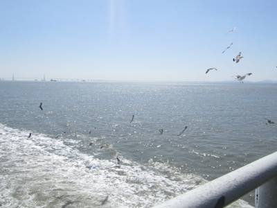 Yeongjong Island