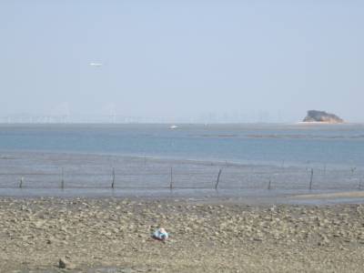 Muui-do