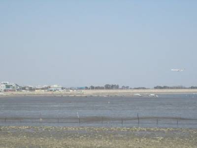 Muui-do