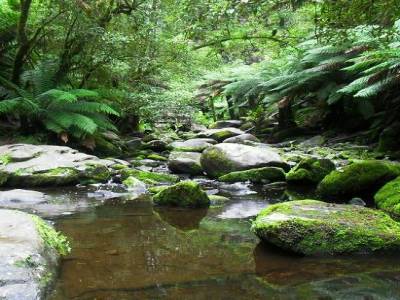 apres la chute, la riviere poursuit son cours