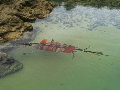 un radeau aborigene