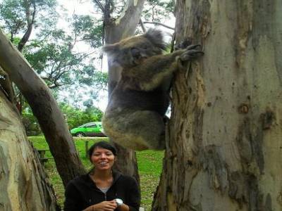 Amelie est aux anges, la voila reconciliee avec les koalas !
