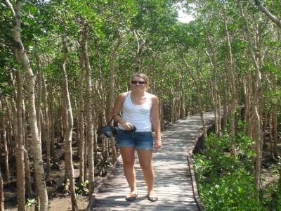 Mangrove