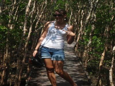 Mangrove