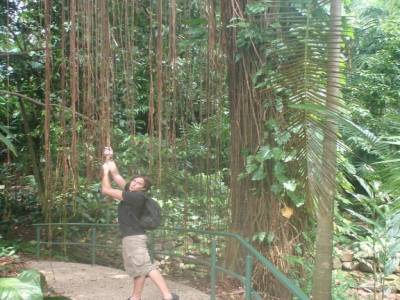 Botanic garden