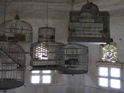 CAGE OISEAU
