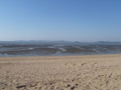 Muui-do