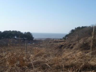 Muui-do