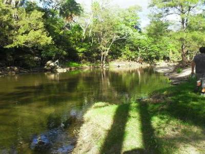 carnarvon park : c parti pour 5 heures de marche dans la foret a la recherche des platypus !