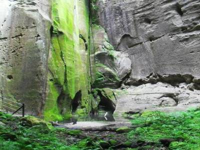au coeur de l'amphitheatre : une mousse emeraude enveloppe la roche d'un manteau vert luisant