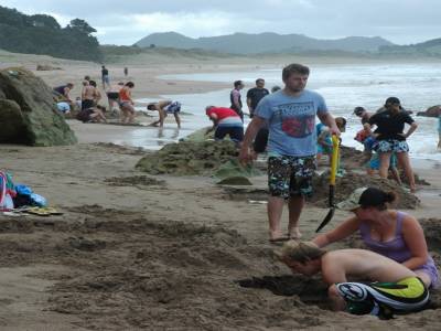 Hot water  beach