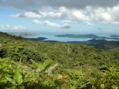 Vue lointaine de la côte de Coromandel
