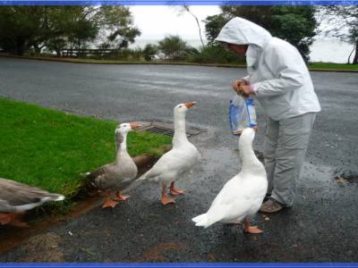 Martine a retrouvé ses potes au lac Rotorua