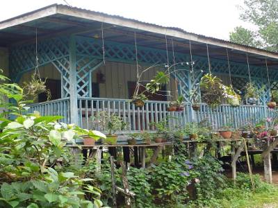 Maison traditionnelle de Bornéo