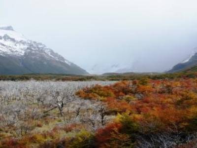 Vers le glacier Torre