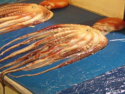 Noryangjin - Fish Market