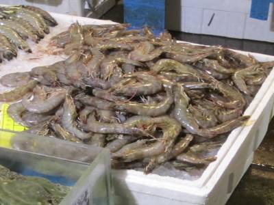 Noryangjin - Fish Market