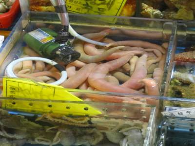 Noryangjin - Fish Market