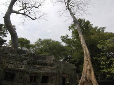 Angkor