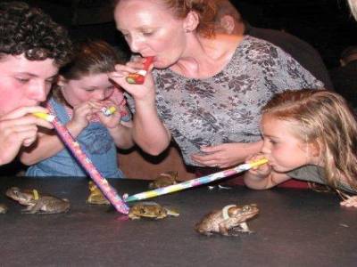 Course de toads