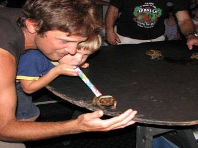 Course de toads 2