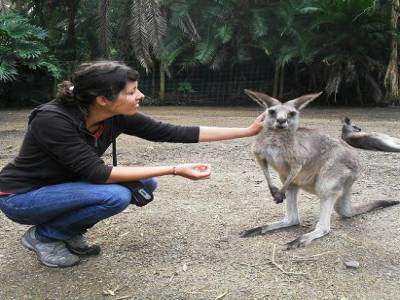 Amelie aussi aime bien les wallabies