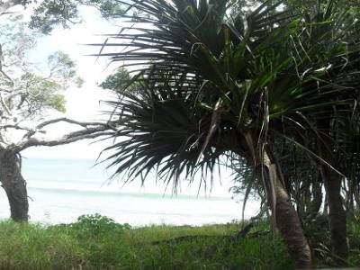 Regardez bien, y'a un surfer cache !