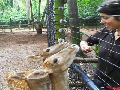 hey Bambi, tu sais que ta mere est morte ?