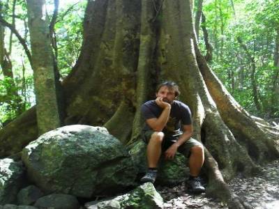 bouddha dans son arbre