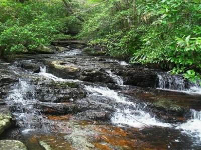 Springbook National Parc (SNP)