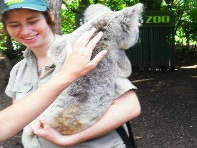 c la main de Amelie qui touche un koala !