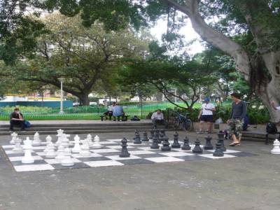 Joueurs d'échecs à Sydney