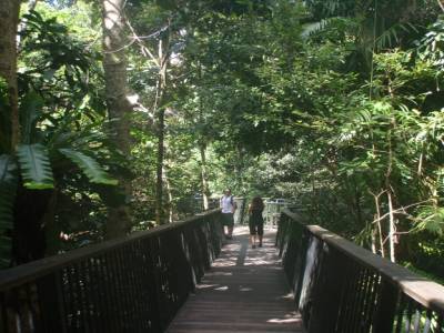 kuranda