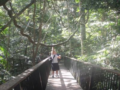 kuranda