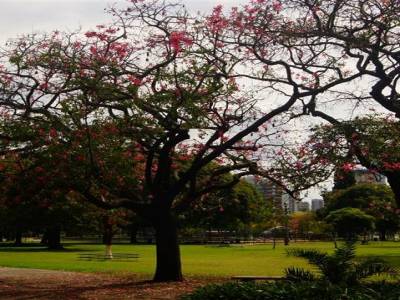 Recoleta - Parc de l'UNESCO