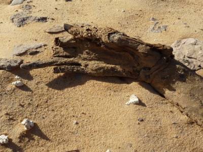 Quart d'heure macabre