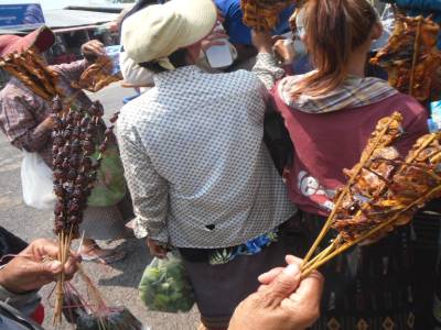 brochettes de scarabees et grenouilles
