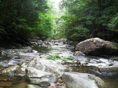 la riviere a sangsue