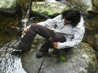 Inspection de sangsue