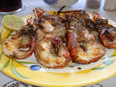 mmmm les langoustes