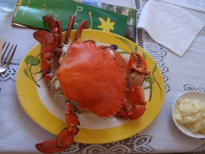 une assiette de crabe