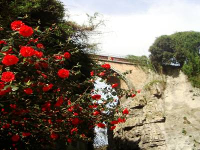 Parc des Buttes Chaumont