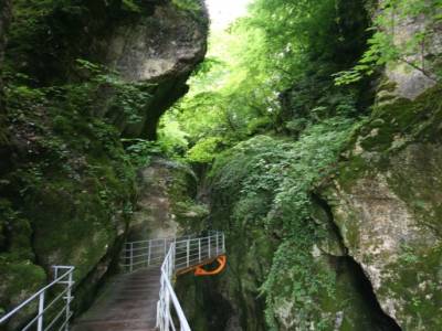 Gorge du fier